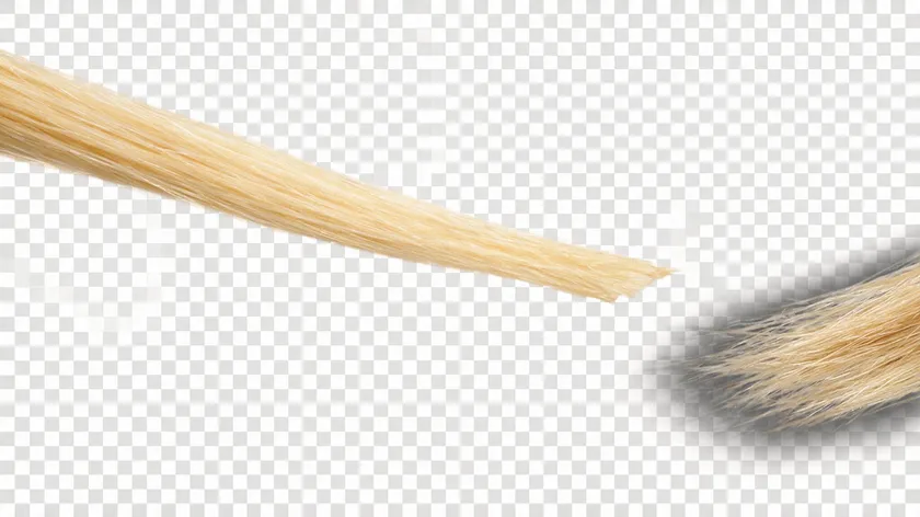 Close-up of a hair strand edge against a transparent checkerboard background, illustrating clean versus rough edges in what it's called when an image has no background.